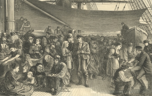 Steerage